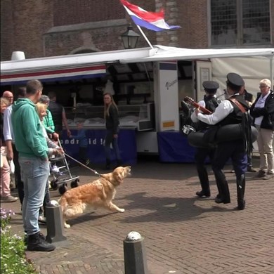 PRETPOLITIE 2015-05-25 Burgh-Haamstede (59)v.jpg