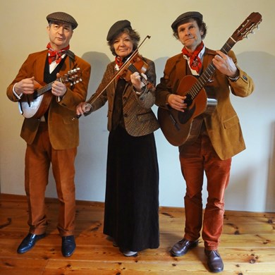 Irish music trio 2016-02-02 (44vb) (1000x1000).jpg