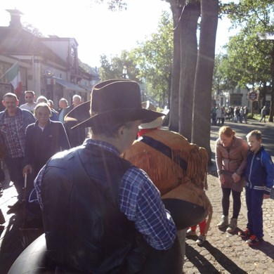 TWEE EENZAME COWBOYS 2016-10-16 Zuidlaren 4.JPG