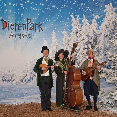 Amersfoort Diergaarde DICKENS MUSE muzikanten trio kerstmis kerst muziek akoestisch mobiel